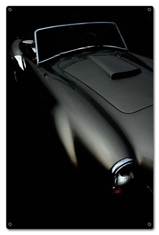 Classic-Curves-Vintage-Sign-Metal-Sign