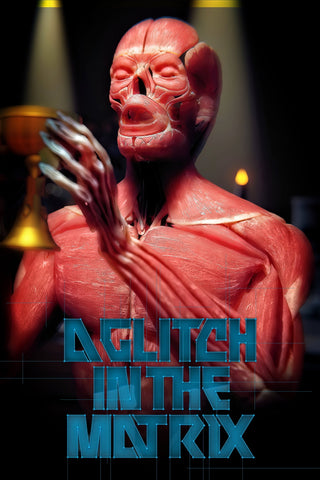 A Glitch in the Matrix Style B Movie Poster 11 x 17 inch