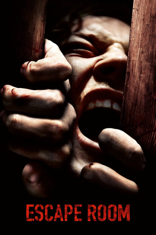 Escape Room Style D Movie Poster 11 x 17 inch