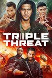 Triple Threat Style B Movie Poster 11 x 17 inch
