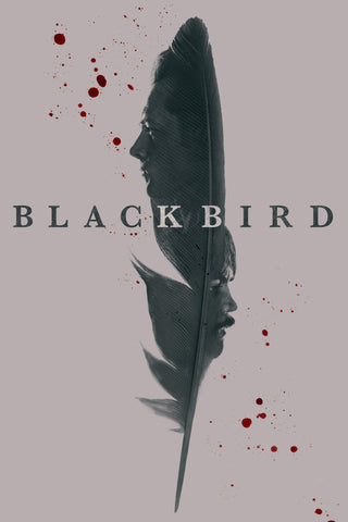 Black Bird Style: 1 - 27 x 40 inch. TV Show Poster