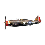 P-47D Thunderbolt Vintage Sign Metal Sign