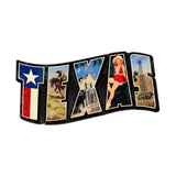 Texas Landmarks Vintage Sign Metal Sign