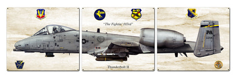 Thunderbolt-II-Metal-Sign