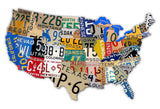 LICENSE PLATE USA Metal Sign