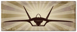 Planes F-22 Metal Sign
