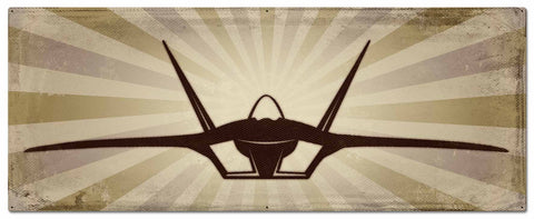 Planes F-22 Metal Sign