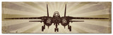 Planes F14 Tomcat Metal Sign