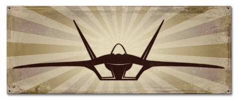 Planes F 22 Metal Sign