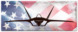 Planes F 22 American Flag Metal Sign