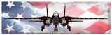 Planes F14 Tomcat American Flag Metal Sign