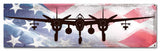 Planes Lighting Plane American Flag Metal Sign