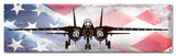 Planes F14 Tomcat American Flag Metal Sign