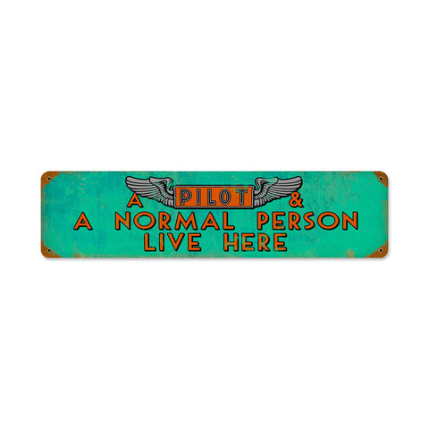Pilot And Normal Person Vintage Sign Metal Sign