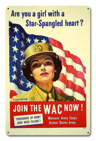 Are-You-Girl-Star-Spangled-Vintage-Sign-Metal-Sign