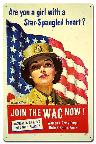 Are-You-Girl-Star-Spangled-Vintage-Sign-Metal-Sign