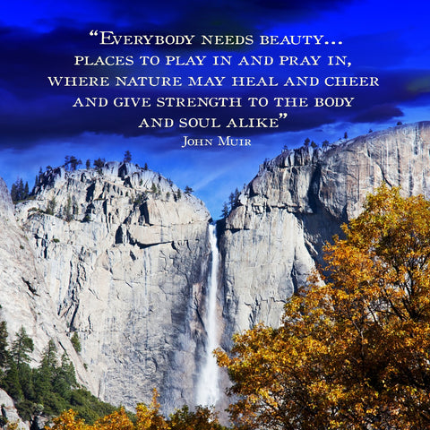 Everybody Needs Beauty Vintage Sign Metal Sign