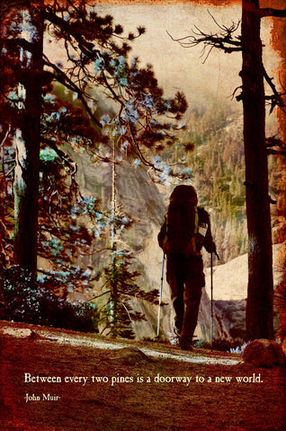 Between Two Pines Vintage Sign Metal Sign