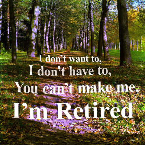 Don't Want To I'm Retired Vintage Sign Metal Sign