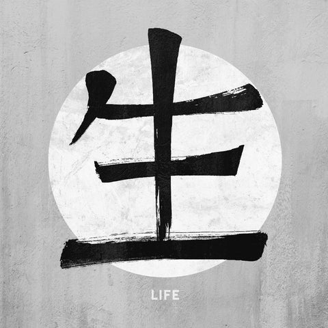 Life Kanji Vintage Sign Metal Sign