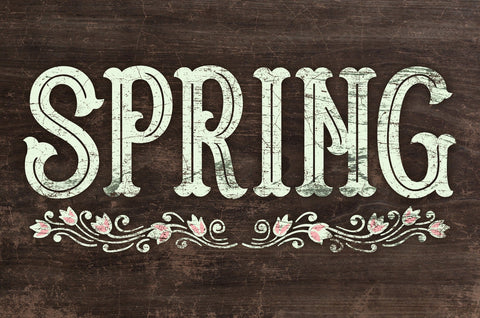Spring Vintage Sign Metal Sign
