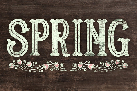 Spring Vintage Sign Metal Sign