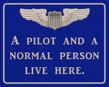 Pilot And Normal Person Vintage Sign Metal Sign
