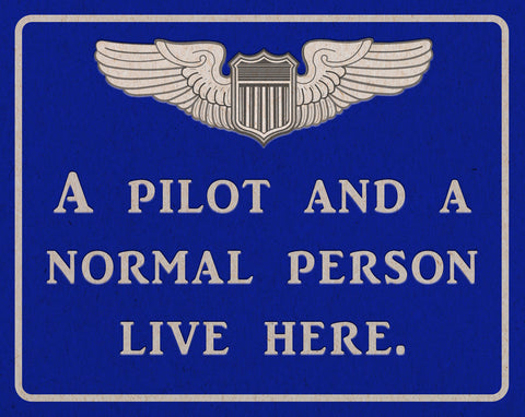 Pilot And Normal Person Vintage Sign Metal Sign