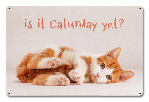 CATURDAY Metal Sign