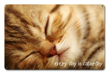 Every Day Caturday Metal Sign