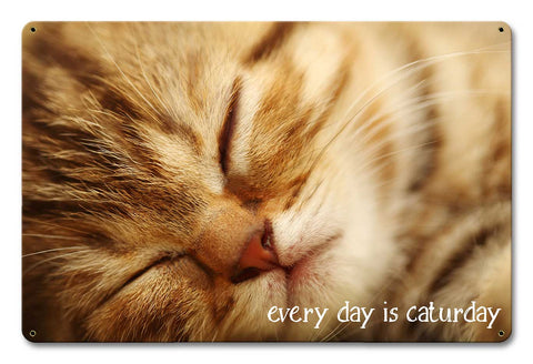 Every Day Caturday Metal Sign