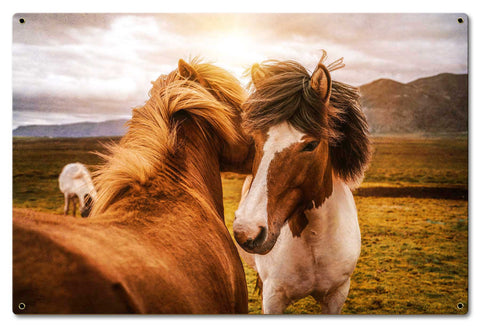 Wild Horses 1 Metal Sign
