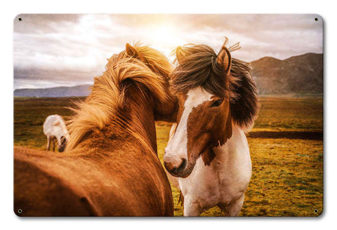 Wild Horses 1 Metal Sign