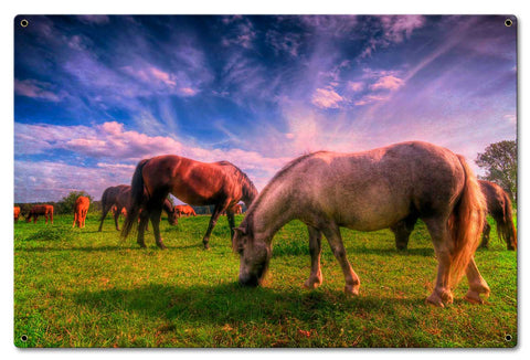 Wild Horse 2 Metal Sign