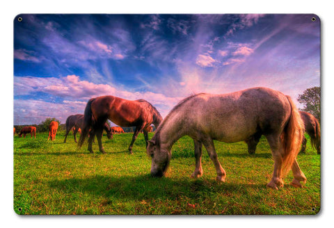 Wild Horse 2 Metal Sign