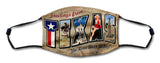 Texas Greetings Mask Metal Sign