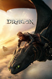 How to Train Your Dragon Style A Movie Poster 27 x 40 inch