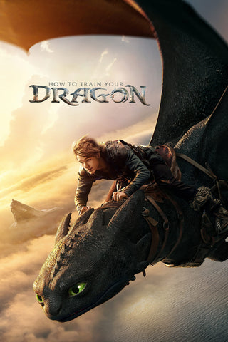 How to Train Your Dragon Style A Movie Poster 27 x 40 inch