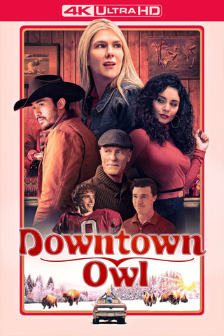 Downtown Owl Style B Movie Poster 11 x 17 inch