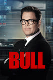 Bull Style: 2 - 11 x 17 inch. TV Show Poster