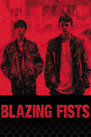 Blazing Fists Style A Movie Poster 27 x 40 inch