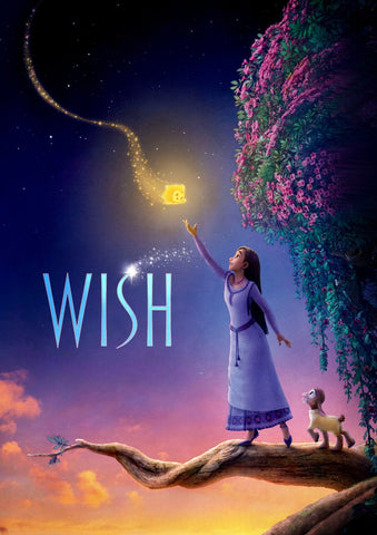 Wish Style E Movie Poster 11 x 17 inch