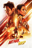 Ant-Man and the Wasp Style A Movie Poster 27 x 40 inch
