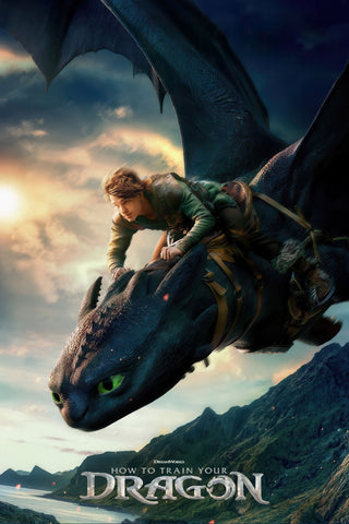 How to Train Your Dragon Style E Movie Poster 11 x 17 inch