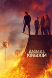 Animal Kingdom Style: 1 - 27 x 40 inch. TV Show Poster