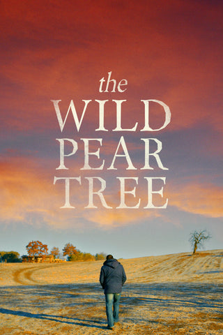 The Wild Pear Tree Style A Movie Poster 11 x 17 inch