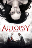 The Autopsy of Jane Doe Style E Movie Poster 11 x 17 inch