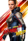 Ant-Man and the Wasp Style E Movie Poster 27 x 40 inch