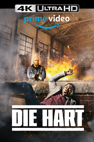 Die Hart Style D Movie Poster 27 x 40 inch
