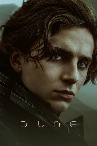 Dune Style C Movie Poster 11 x 17 inch